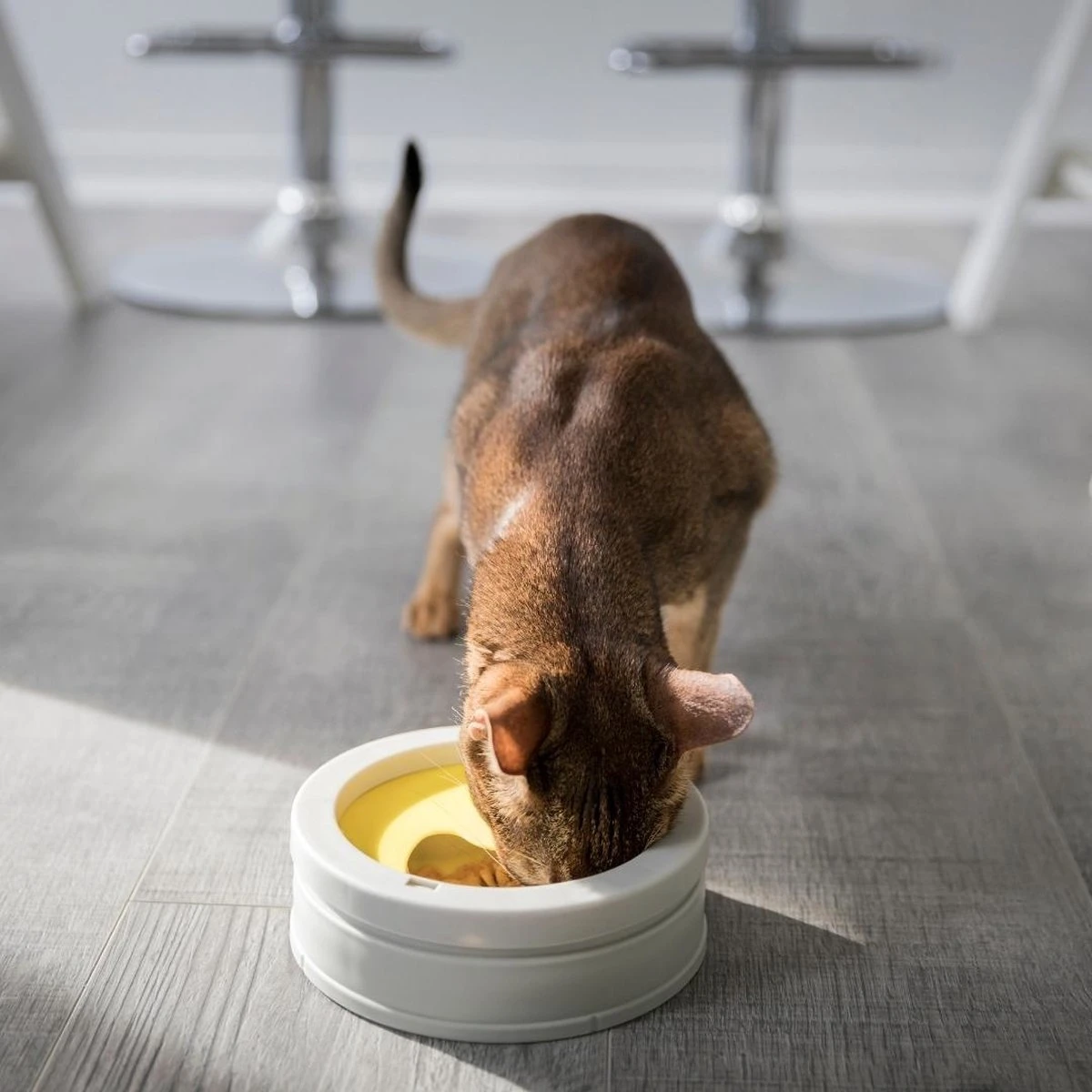 BeOneBreed Intellikatt - Slowfeeder Voor Katten - Voerpuzzel Aanbevolen Door Dierenartsen En Kattengedragsdeskundigen 11 BeOneBreed Intellikatt - Slowfeeder Voor Katten - Voerpuzzel Aanbevolen Door Dierenartsen En Kattengedragsdeskundigen - Afbeelding 9