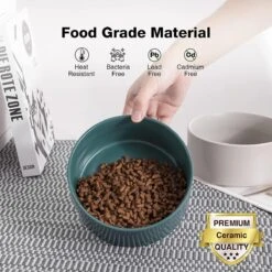 GIZMO 2x Voerbak Kat - 400 Ml - Groen - Keramische Drink- & Voerbakken Met Standaard - 13 Cm - 2 Stuks 18 GIZMO 2x Voerbak Kat - 400 Ml - Groen - Keramische Drink- & Voerbakken Met Standaard - 13 Cm - 2 Stuks -Kattenbenodigdheden Winkel 1200x1200 135