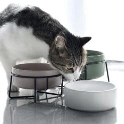 GIZMO 2x Voerbak Kat - 400 Ml - Groen - Keramische Drink- & Voerbakken Met Standaard - 13 Cm - 2 Stuks 24 GIZMO 2x Voerbak Kat - 400 Ml - Groen - Keramische Drink- & Voerbakken Met Standaard - 13 Cm - 2 Stuks -Kattenbenodigdheden Winkel 1200x1200 138
