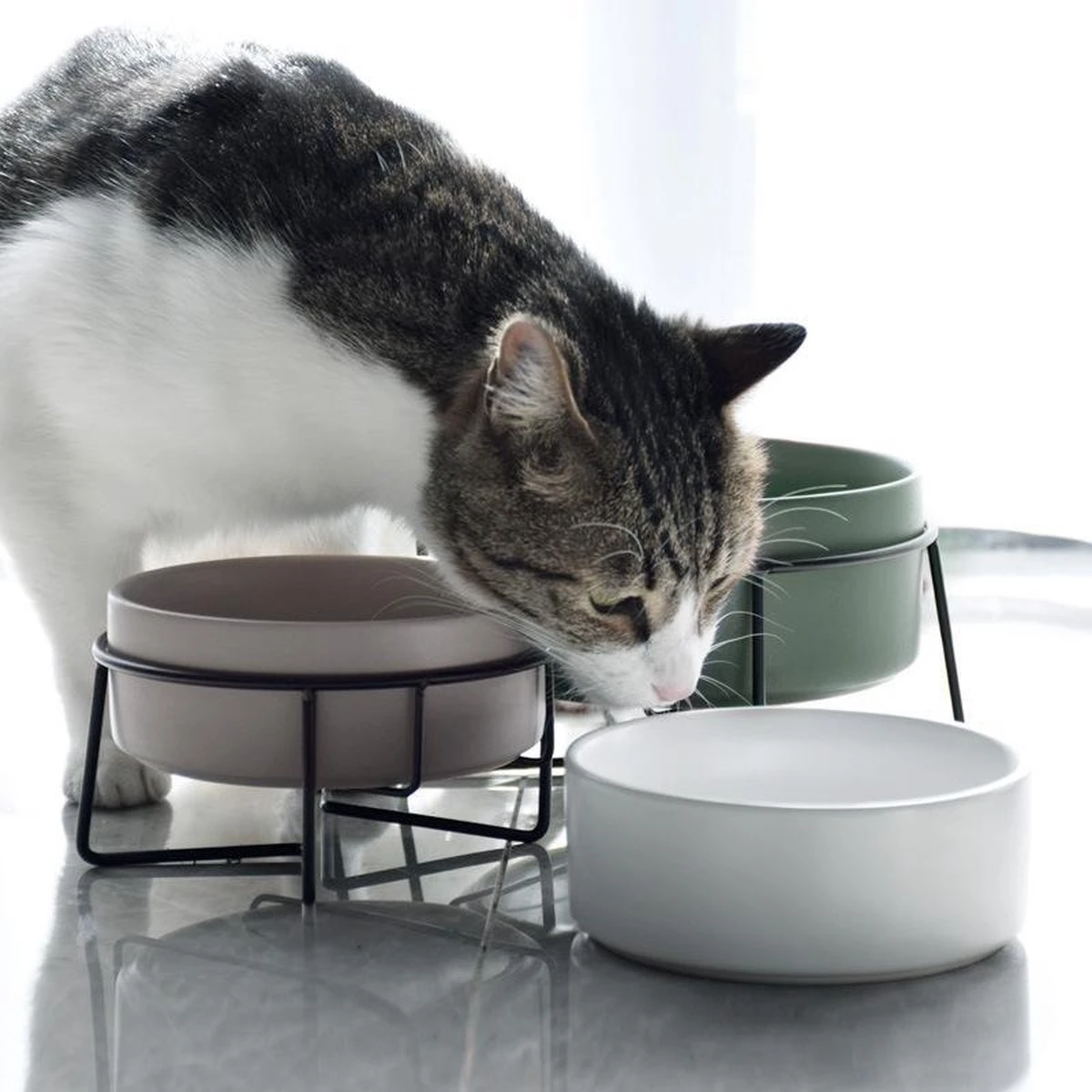 GIZMO 2x Voerbak Kat - 400 Ml - Groen - Keramische Drink- & Voerbakken Met Standaard - 13 Cm - 2 Stuks 13 GIZMO 2x Voerbak Kat - 400 Ml - Groen - Keramische Drink- & Voerbakken Met Standaard - 13 Cm - 2 Stuks - Afbeelding 11