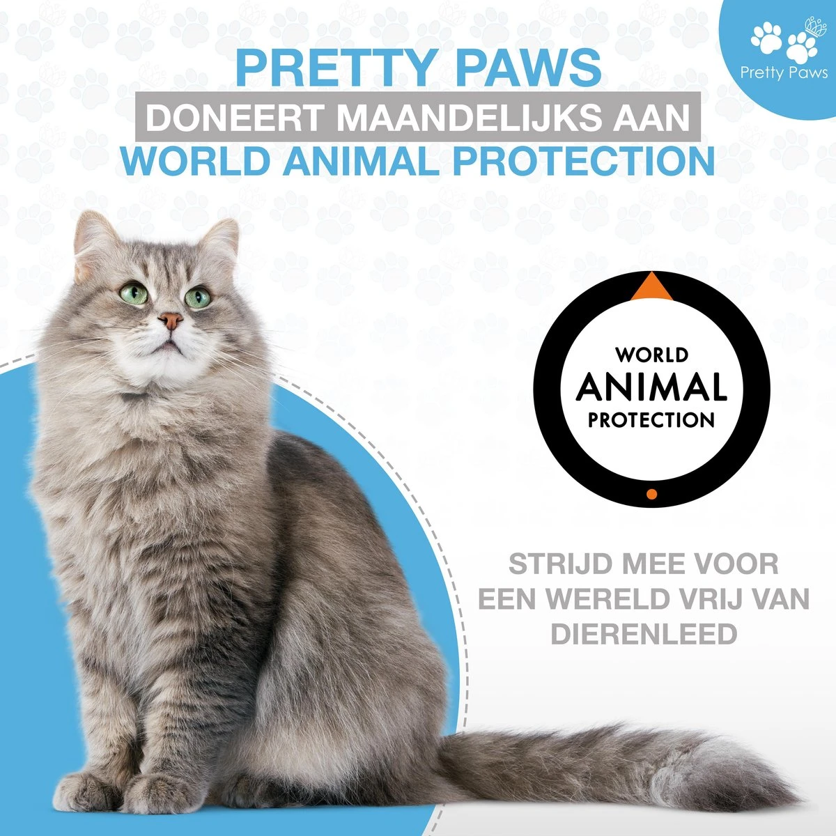 Pretty Paws PP002 Professionele Automatische Voerbak - Instelbaar Voedingsschema - Voerautomaat - Voerbak Kat Automatisch 11 Pretty Paws PP002 Professionele Automatische Voerbak - Instelbaar Voedingsschema - Voerautomaat - Voerbak Kat Automatisch - Afbeelding 9
