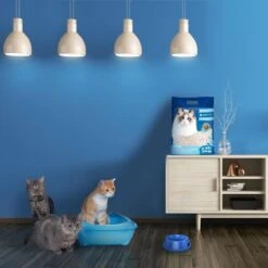 Nobleza 48REM - Tofu Kattenbakvulling - Snel Absorberend - 3.8 L - Klontvormend - 2 Kg -Kattenbenodigdheden Winkel 1200x1200 165