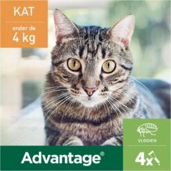 Bayer Advantage 40 Tegen Vlooien - <4kg - 4 X 0,4 Ml - Adult -Kattenbenodigdheden Winkel 1200x1200 17