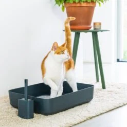 Hoopo® Poh Kattenbak Grijs - Open Kattenbak - Design Kattenbak - Kattenbakschep - 50x37.5x12.7 Cm - Grote Kattenbak 10 Hoopo® Poh Kattenbak Grijs - Open Kattenbak - Design Kattenbak - Kattenbakschep - 50x37.5x12.7 Cm - Grote Kattenbak -Kattenbenodigdheden Winkel 1200x1200 172
