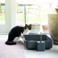 Hoopo® Poh Kattenbak Grijs - Open Kattenbak - Design Kattenbak - Kattenbakschep - 50x37.5x12.7 Cm - Grote Kattenbak 11 Hoopo® Poh Kattenbak Grijs - Open Kattenbak - Design Kattenbak - Kattenbakschep - 50x37.5x12.7 Cm - Grote Kattenbak -Kattenbenodigdheden Winkel 1200x1200 173
