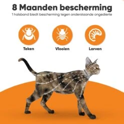 Nafurapets Vlooienband Voor Kat – Anti Vlooien – Teken Band – 100% Natuurlijk – 8 Maanden Bescherming – Grote & Kleine Kat -Kattenbenodigdheden Winkel 1200x1200 2