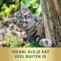 3 Stuks Vlooienband Kat Tekenband - 100% Natuurlijk Veilig En Waterbestendig -Kattenbenodigdheden Winkel 1200x1200 20