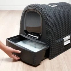 Curver Kattenbak - Antraciet - 51 X 38,5 X 39,5 Cm 22 Curver Kattenbak - Antraciet - 51 X 38,5 X 39,5 Cm -Kattenbenodigdheden Winkel 1200x1200 211