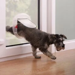 Petsafe Kattenluik - Grote Kat - Transparant