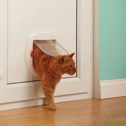 Petsafe Kattenluik - Grote Kat - Transparant -Kattenbenodigdheden Winkel 1200x1200 228