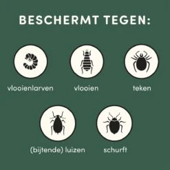 3 Stuks Vlooienband Kat Tekenband - 100% Natuurlijk Veilig En Waterbestendig -Kattenbenodigdheden Winkel 1200x1200 23