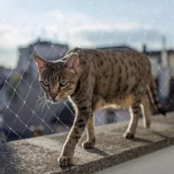 Kattennet Premium - 800 X 300 CM - Kattennet Voor Balkon - Transparant - Balkon Net - Makkelijk Te Monteren- Kattengaas -Kattenbenodigdheden Winkel 1200x1200 238