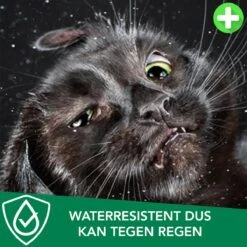 Teken- En Vlooienband Voor Katten PLUS - Natuurlijk Middel Tegen Vlooien En Teken - 100% Natuurlijk - 38,5 CM - Tot 8 Maand Werkzaam - Biologisch 9 Teken- En Vlooienband Voor Katten PLUS - Natuurlijk Middel Tegen Vlooien En Teken - 100% Natuurlijk - 38,5 CM - Tot 8 Maand Werkzaam - Biologisch -Kattenbenodigdheden Winkel 1200x1200 24