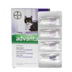 Kattenbenodigdheden Winkel 12 Kattenbenodigdheden Winkel -Kattenbenodigdheden Winkel 1200x1200