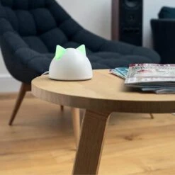 Sureflap Connect HUB -Kattenbenodigdheden Winkel 1200x1200 275