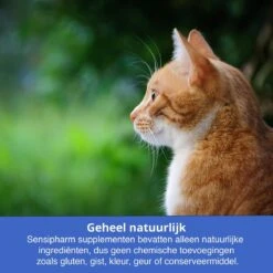 Sensipharm Urologist Aid Voor Kat, Hondje, Cavia, Konijn - Bij Blaasontsteking, Blaasgruis, Struviet, Oxalaat & Nierstenen - 90 Tabletten à 250 Mg -Kattenbenodigdheden Winkel 1200x1200 29