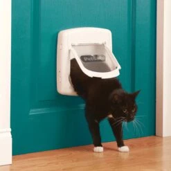 Petsafe Kattenluik 400 - Wit -Kattenbenodigdheden Winkel 1200x1200 292