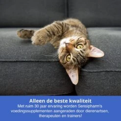 Sensipharm Urologist Aid Voor Kat, Hondje, Cavia, Konijn - Bij Blaasontsteking, Blaasgruis, Struviet, Oxalaat & Nierstenen - 90 Tabletten à 250 Mg -Kattenbenodigdheden Winkel 1200x1200 30