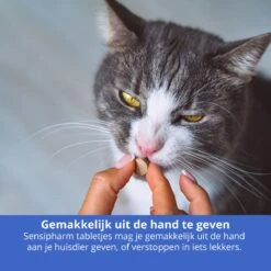 Sensipharm Urologist Aid Voor Kat, Hondje, Cavia, Konijn - Bij Blaasontsteking, Blaasgruis, Struviet, Oxalaat & Nierstenen - 90 Tabletten à 250 Mg -Kattenbenodigdheden Winkel 1200x1200 31