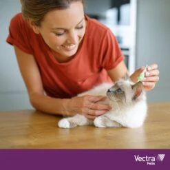 VECTRA Felis - Vlooiendruppels - Voor Katten 0.6 T/m 10 Kg - 3 Pipetten -Kattenbenodigdheden Winkel 1200x1200 32