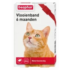 Beaphar Vlooienband Kat - Rood - 1 Stuk -Kattenbenodigdheden Winkel 1200x1200 33