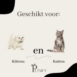 Petsify - Kattenhalsband Met Belletje - Veiligheidssluiting - Reflecterend - Halsband Kat - Halsband Kitten - Set Van 11 -Kattenbenodigdheden Winkel 1200x1200 350