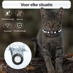 BJØRK Kattenhalsband Airtag - Reflecterend - Zwart - Verstelbaar - 20 Tot 30 Cm - Tracker- GPS - Geschikt Voor Apple AirTag - Kattenriem - Katten Accessoire - Halsband Kat Airtag 12 BJØRK Kattenhalsband Airtag - Reflecterend - Zwart - Verstelbaar - 20 Tot 30 Cm - Tracker- GPS - Geschikt Voor Apple AirTag - Kattenriem - Katten Accessoire - Halsband Kat Airtag -Kattenbenodigdheden Winkel 1200x1200 358