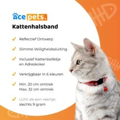 ACE Pets Reflecterende Kattenhalsband Met Veiligheidssluiting – Halsband Kat & Kitten - Met Adreskoker - Kittenhalsband & Kattenbandje Met Belletje - Zwart -Kattenbenodigdheden Winkel 1200x1200 369