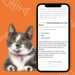 ACE Pets Reflecterende Kattenhalsband Met Veiligheidssluiting – Halsband Kat & Kitten - Met Adreskoker - Kittenhalsband & Kattenbandje Met Belletje - Zwart -Kattenbenodigdheden Winkel 1200x1200 370