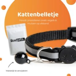 ACE Pets Reflecterende Kattenhalsband Met Veiligheidssluiting – Halsband Kat & Kitten - Met Adreskoker - Kittenhalsband & Kattenbandje Met Belletje - Zwart -Kattenbenodigdheden Winkel 1200x1200 371