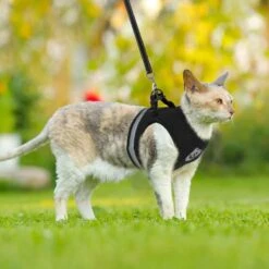 Merkloos Kattentuigje Met Looplijn | Zwart Kattenharnas | Easy Step In | Kattenriem | Kattenlijn | Kattentuig | Maat S -Kattenbenodigdheden Winkel 1200x1200 393