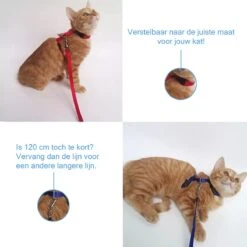 Kattentuigje Met Looplijn Kattenharnas Katten Riem Met Looplijn Kat Verstelbaar - Blauw -Kattenbenodigdheden Winkel 1200x1200 399