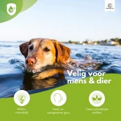 Essential Link Teken- En Vlooienband - Vlooienband Kat/Hond – Anti Vlooien – Vlooienmiddel - Tekenband - Diervriendelijk -Kattenbenodigdheden Winkel 1200x1200 40