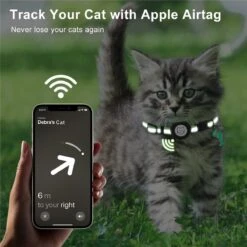 BJØRK™ Kattenhalsband Airtag - Reflecterend - Oranje - Verstelbaar - 20 Tot 30 Cm - Tracker- GPS - Geschikt Voor Apple AirTag - Kattenriem - Katten Accessoire - Halsband Kat Airtag 13 BJØRK™ Kattenhalsband Airtag - Reflecterend - Oranje - Verstelbaar - 20 Tot 30 Cm - Tracker- GPS - Geschikt Voor Apple AirTag - Kattenriem - Katten Accessoire - Halsband Kat Airtag -Kattenbenodigdheden Winkel 1200x1200 406