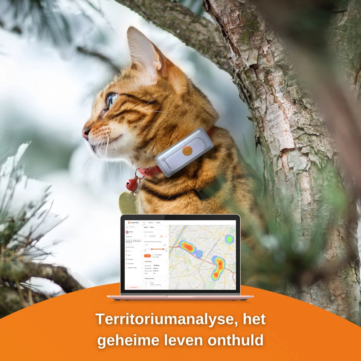 Weenect CATS² , GPS Tracker Voor Katten 4 Weenect CATS² , GPS Tracker Voor Katten - Afbeelding 2