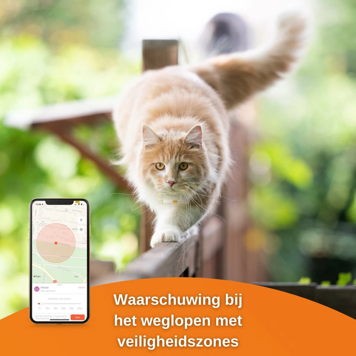 Weenect CATS² , GPS Tracker Voor Katten 7 Weenect CATS² , GPS Tracker Voor Katten - Afbeelding 5