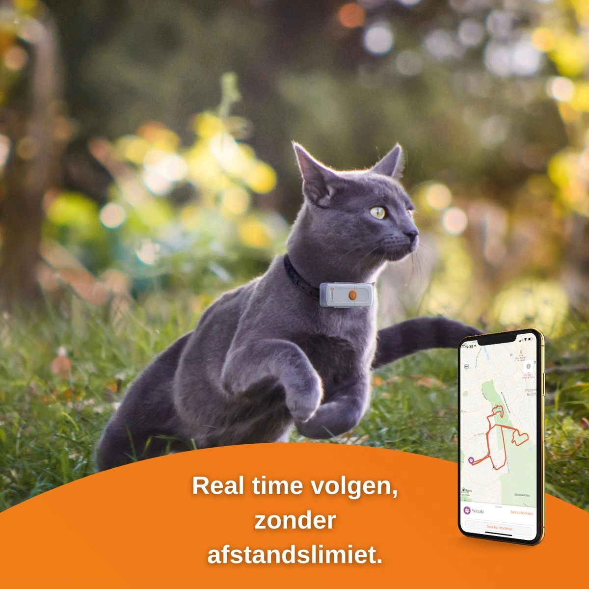 Weenect CATS² , GPS Tracker Voor Katten 9 Weenect CATS² , GPS Tracker Voor Katten - Afbeelding 7
