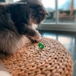 Kattenveertjes - Set 4 Stuks - Kattenspeeltjes - Kattenspeelgoed - Springveertje - Kittenspeeltjes - Kittenveertjes 7 Kattenveertjes - Set 4 Stuks - Kattenspeeltjes - Kattenspeelgoed - Springveertje - Kittenspeeltjes - Kittenveertjes -Kattenbenodigdheden Winkel 1200x1200 430