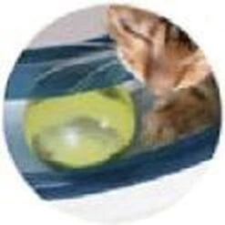 Catit Design Senses Play Circuit - Kattenspeelgoed 13 Catit Design Senses Play Circuit - Kattenspeelgoed -Kattenbenodigdheden Winkel 1200x1200 433