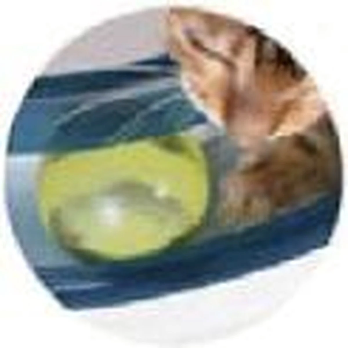 Catit Design Senses Play Circuit - Kattenspeelgoed 6 Catit Design Senses Play Circuit - Kattenspeelgoed - Afbeelding 4