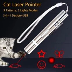 Laserpen - Oplaadbaar Met USB - Rode Laser - RVS Zilver - UV - Zaklamp - LED - Kat - Katten Speeltjes - Kattenspeelgoed - 7 Verschillende Standen -Kattenbenodigdheden Winkel 1200x1200 441