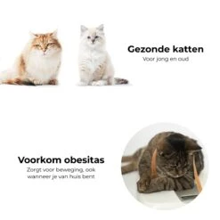 Pettadore Springs - Kattenveertjes - Kattenspeelgoed - Kattenspeeltjes - 9 Stuks -Kattenbenodigdheden Winkel 1200x1200 446