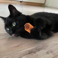 Pettadore Springs - Kattenveertjes - Kattenspeelgoed - Kattenspeeltjes - 9 Stuks -Kattenbenodigdheden Winkel 1200x1200 451