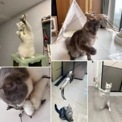 Kattenspeelgoed - Simulatie Vogel - Interactieve Grappige Kattenspeeltjes - Kattenhengel Met Zuignap + 4 Vogels + Een Kattenhengel GRATIS -Kattenbenodigdheden Winkel 1200x1200 455