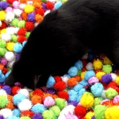 Make Me Purr Glitter Pompon Ballen (10 Stuks) - Kattenspeeltjes - Kattenspeelgoed - Speelgoed Voor Katten - Kat Speeltje Bal - Kitten Speeltjes Balletjes -Kattenbenodigdheden Winkel 1200x1200 464