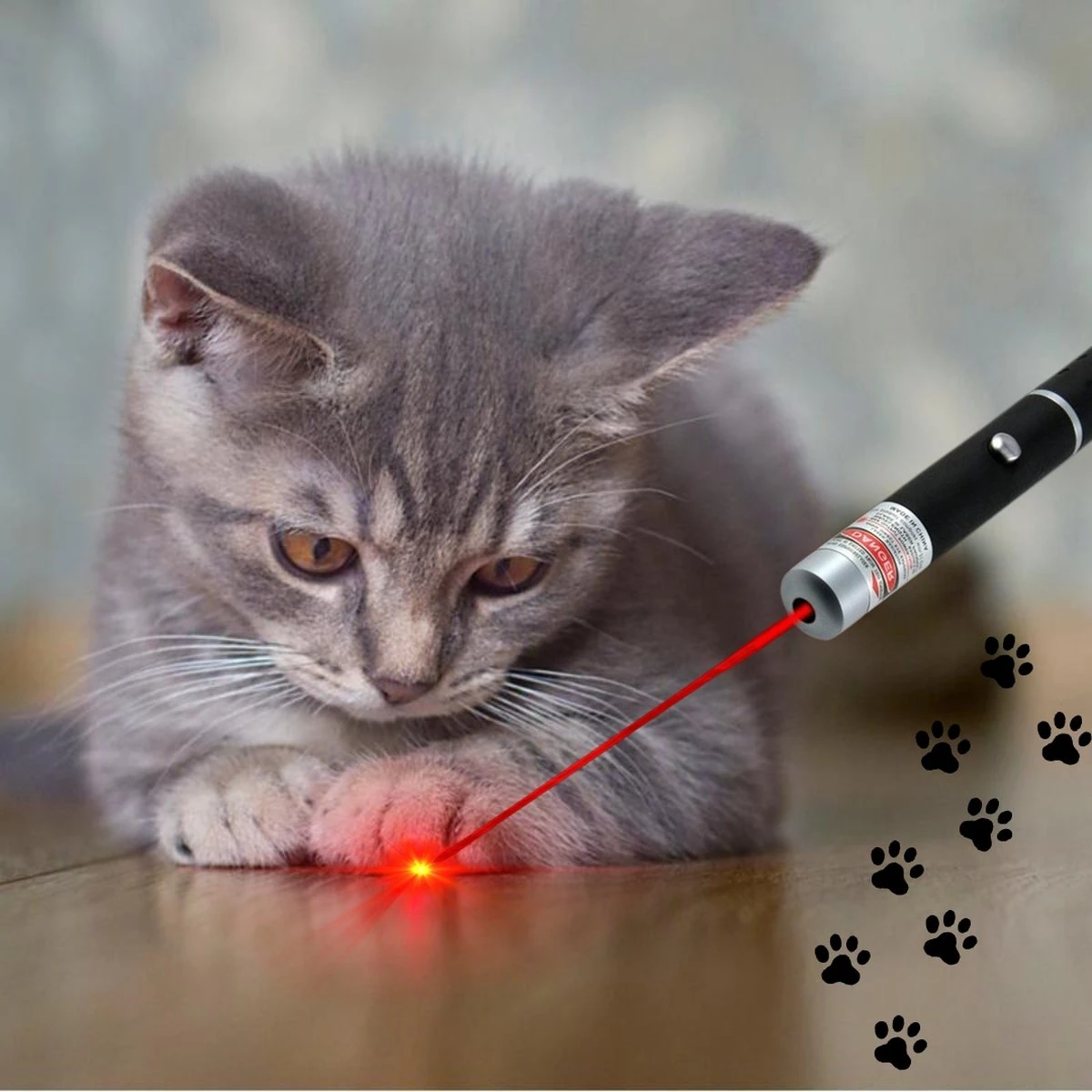 Katten Laser - Dierenwinkel Nederland 3 Katten Laser - Dierenwinkel Nederland
