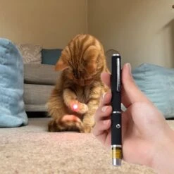 Katten Laser - Dierenwinkel Nederland 7 Katten Laser - Dierenwinkel Nederland -Kattenbenodigdheden Winkel 1200x1200 497