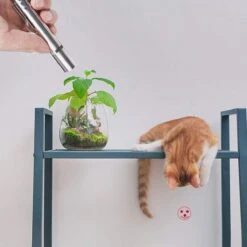 Merkloos Laserpen - Daily Accessoires - USB Oplaadbaar - Kattenspeeltjes - Laserlampje - 7 Verschillende Standen - RVS Zilver - Zaklamp - UV Lamp – Kattenspeelgoed -Kattenbenodigdheden Winkel 1200x1200 504