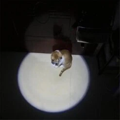 Merkloos Hoogwaardig Laserlampje Voor Katten | USB Oplaadbaar | 7 In 1 Laserpen | Laserpen | Zaklamp | Kattenspeeltje | Kattenspeelgoed | Zilver | Laserpointer Rood/groen | UV Licht -Kattenbenodigdheden Winkel 1200x1200 521