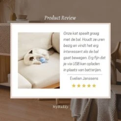 MyBuddy - Interactieve Zelf Rollende Bal - Kattenspeeltjes - Kattenspeelgoed - Bal Voor Katten - LED Lights - Speelgoed - USB - Roze -Kattenbenodigdheden Winkel 1200x1200 535